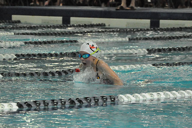 Airdrie Phoenix Swim Club